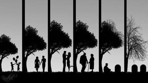 毒药星座 毒药星座