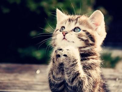 好运星座 好运星座