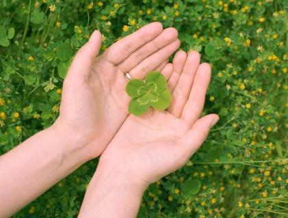 星座运气 星座运气