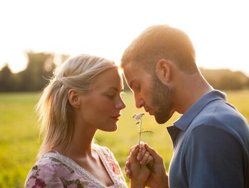 11月运势大好的星座 11月运势大好的星座