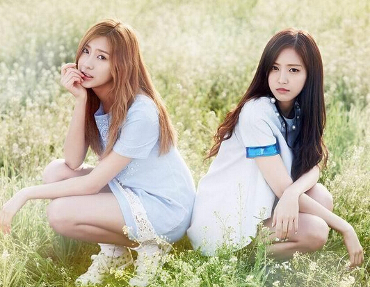 明年即将转运的星座 明年即将转运的星座