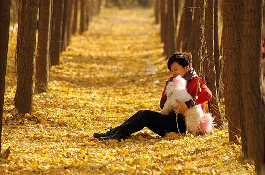 能让12星座感到幸福的事情