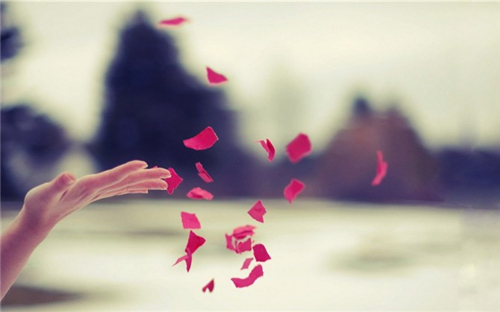 事业上旺桃花弱的星座