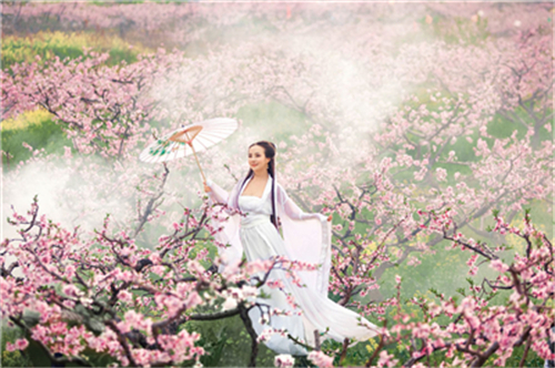 12月星座桃花运势