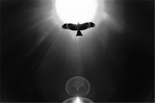 12星座心魔大曝光 12星座心魔大曝光