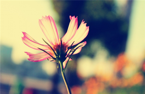 2016年啥星座运势即将好转 2016年啥星座运势即将好转