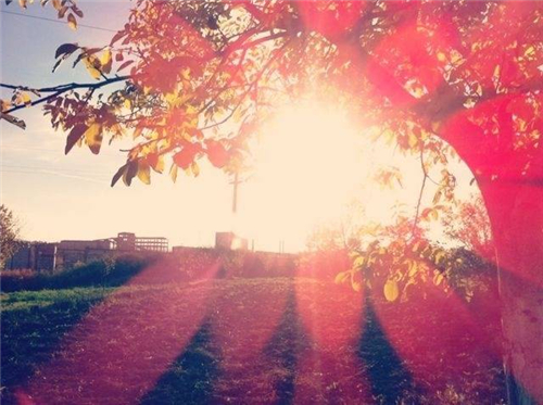 啥星座福气爆表 啥星座福气爆表