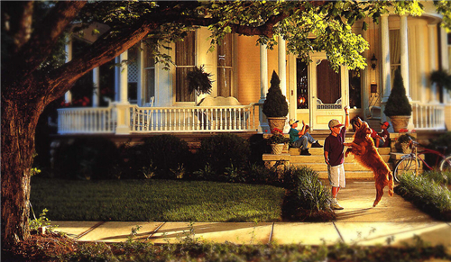 12星座梦寐以求的生活 12星座梦寐以求的生活