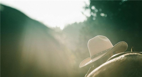 12星座梦寐以求的生活 12星座梦寐以求的生活