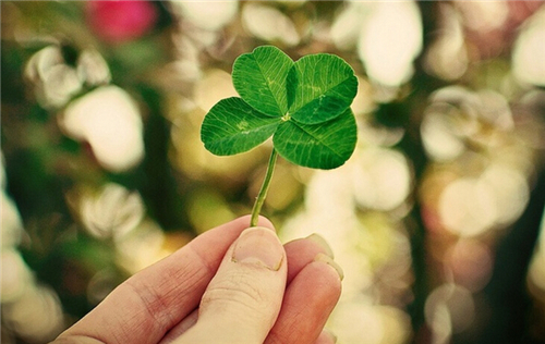 元旦12星座拥有啥好运势 元旦12星座拥有啥好运势