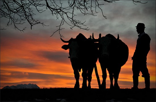 12星座上辈子活的岁数 12星座上辈子活的岁数