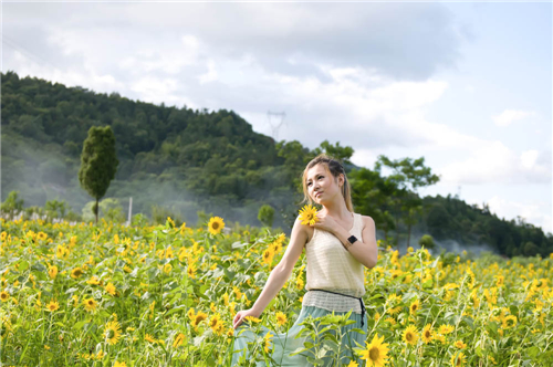 十二星座的春节前状况 十二星座的春节前状况