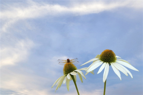最能感动到星座的礼物 最能感动到星座的礼物
