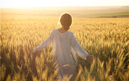 受情伤不敢再爱的星座