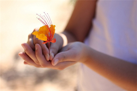 12星座三月份的桃花运势 12星座三月份的桃花运势