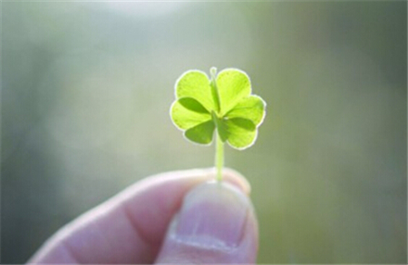 未来三年最幸运的生肖 未来三年最幸运的生肖