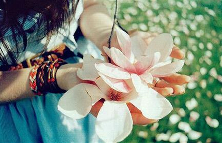 2016年运势爆棚的生肖 2016年运势爆棚的生肖