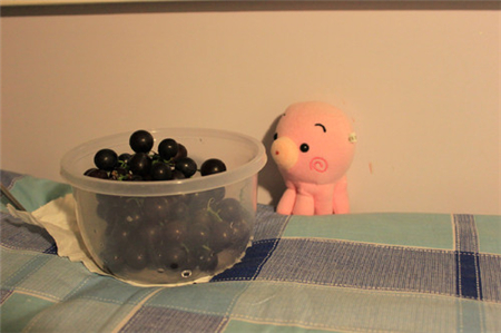 啥星座最懂自娱自乐 啥星座最懂自娱自乐