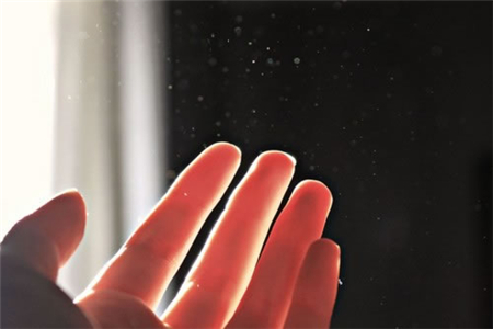 12星座的眼泪是什么样 12星座的眼泪是什么样