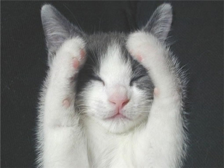 啥星座智商让人捉急 啥星座智商让人捉急