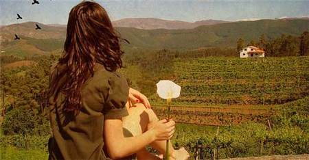 爱情最容易停机的星座 爱情最容易停机的星座